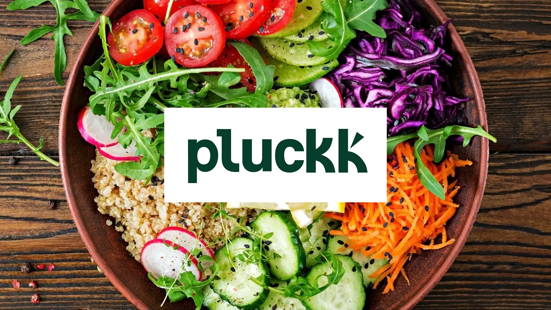 Pluckk closes FY24 with a significant milestone, clocks AAR of Rs 100 crore