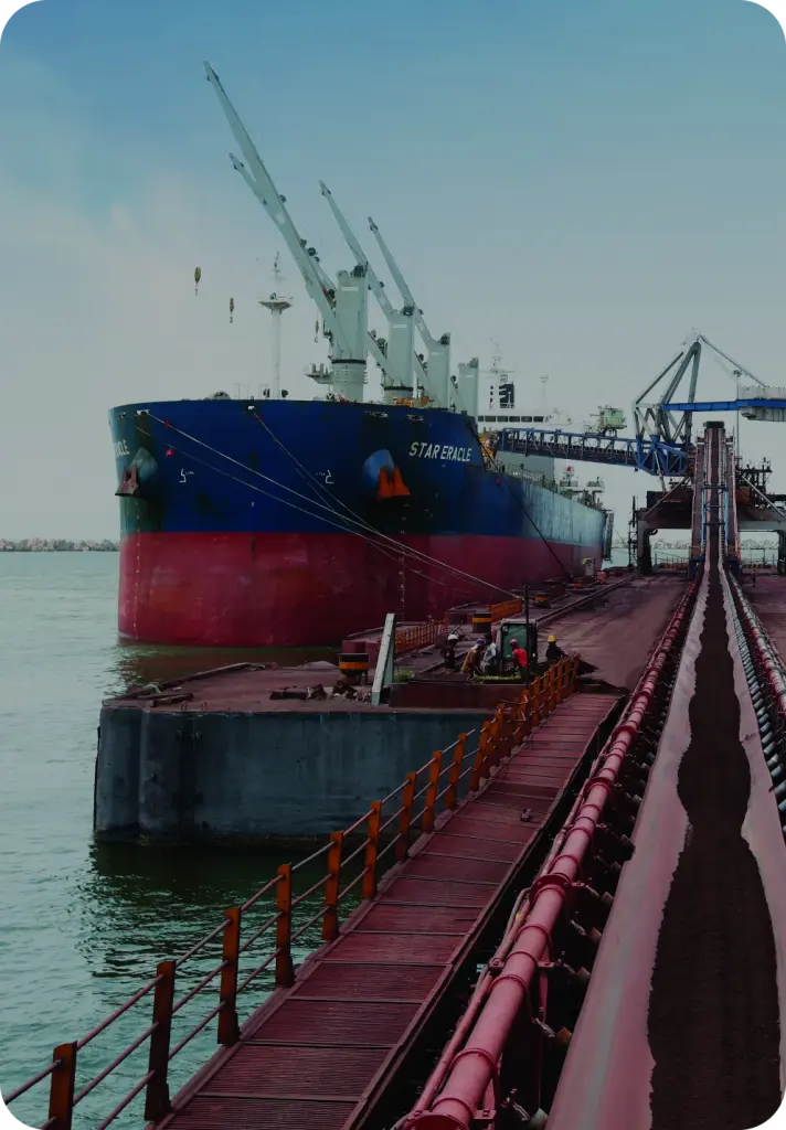 essar ports